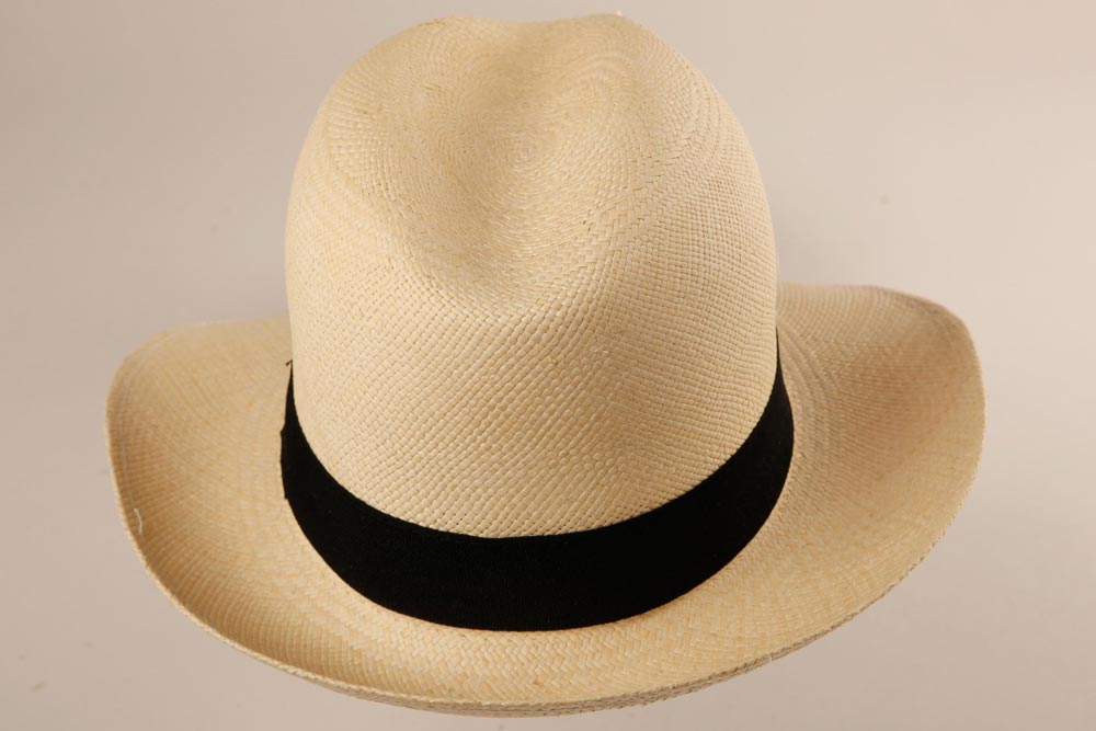 Chapeaux Panamas