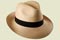 chapeaux Panama - CapFiesta