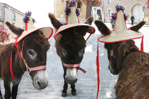 festa de l ane de gignac : le cadichon, chapeau d ane par capfiesta