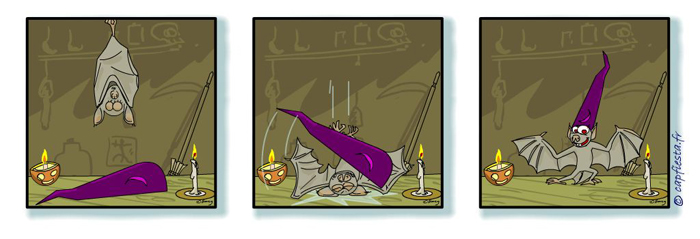 captoon 10