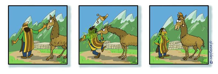 captoon 16