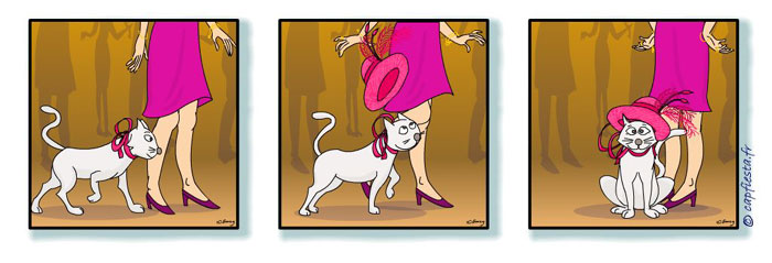 captoon 11